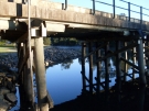 bellingen-morning-bridge-aug-2008-6