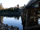 bellingen-morning-bridge-aug-2008-9