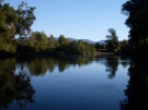 bellingen-morning-river-aug-2008-14