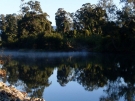 bellingen-morning-river-aug-2008-9