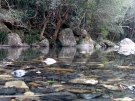 gleniffer-aug-08-11
