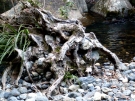 gleniffer-aug-08-12