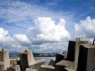 coffs-harbour-breakwall-march-2009