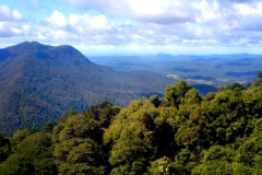 Dorrigo