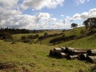 dorrigo-08-07-19
