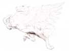 pegasus