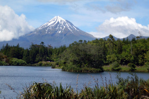 New Zealand Landscapes
