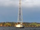 Mototapu Island, 2010.