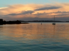 Mototapu Island, 2010.