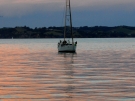 Mototapu Island, 2010.