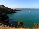 Mototapu Island, 2010.
