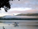 Wanaka, 2008