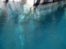 The Blue Pools, Haast, 2008