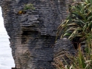 Punakaiki Pancake Rocks, 2008