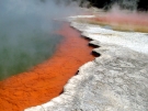 Champagne Pools