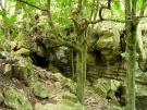 Abbey Caves area, Northland, New Zealand, 2010