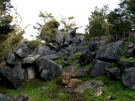 Abbey Caves area, Northland, New Zealand, 2010