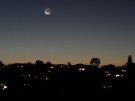 Auckland by Night, 2010