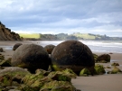 Moeraki Boulders, 2008