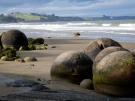 Moeraki Boulders, 2008