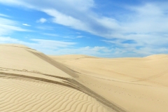 Stockton Sand Dunes