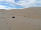 SAM_4450