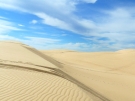SAM_4473